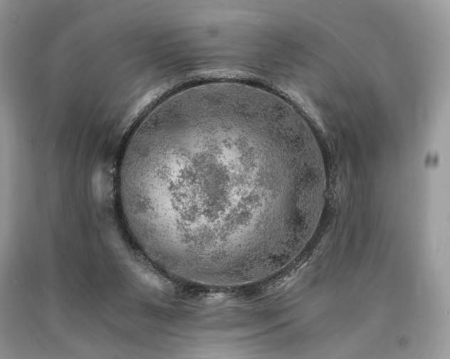 X0000090780111200707201532