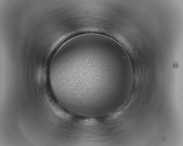 X0000090780112200707201532
