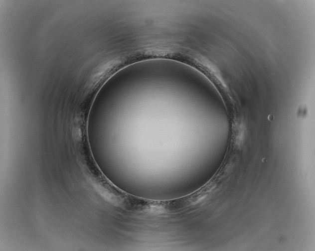 X0000090780114200707201531