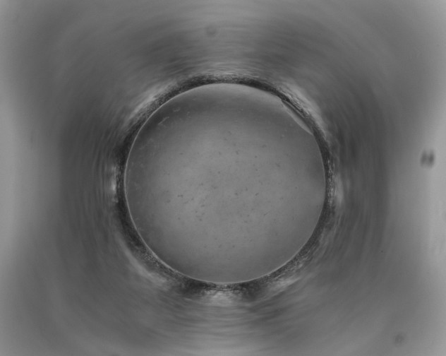 X0000090780115200707201531