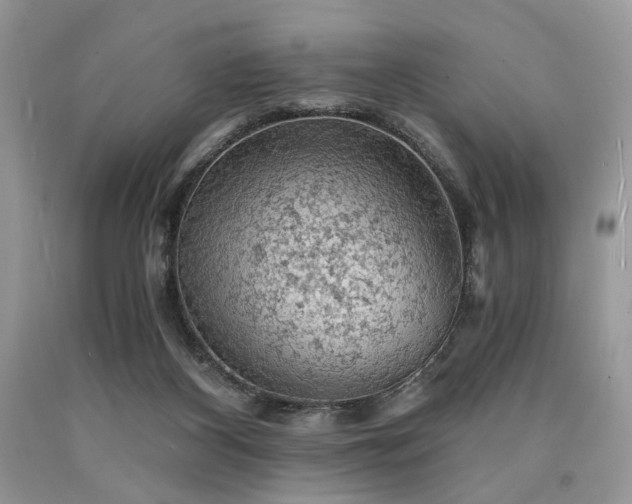X0000090780116200707201531