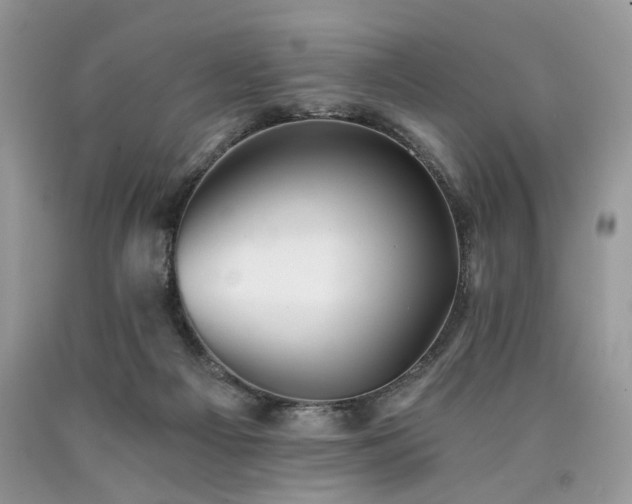 X0000090780121200707201531