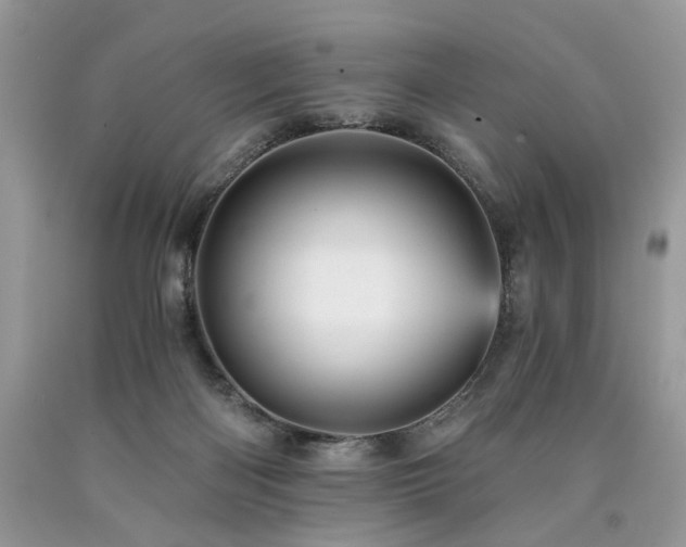 X0000090780122200707201531