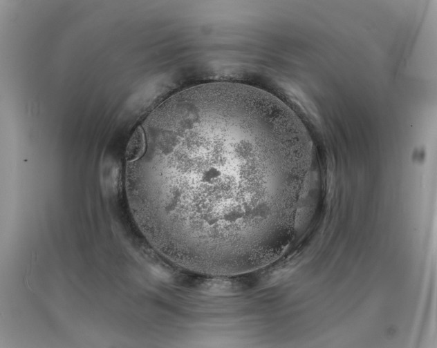 X0000090780123200707201531