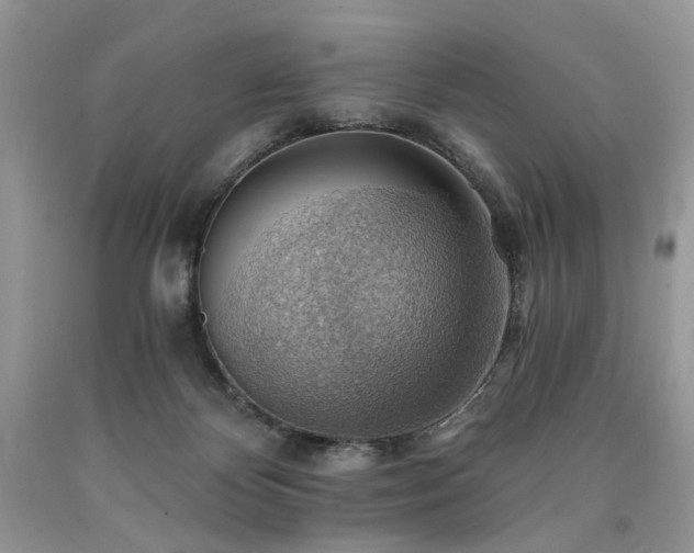 X0000090780124200707201531