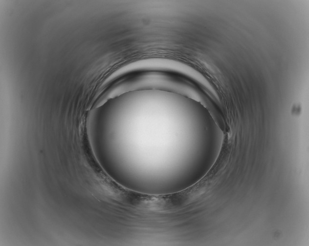 X0000090780125200707201531
