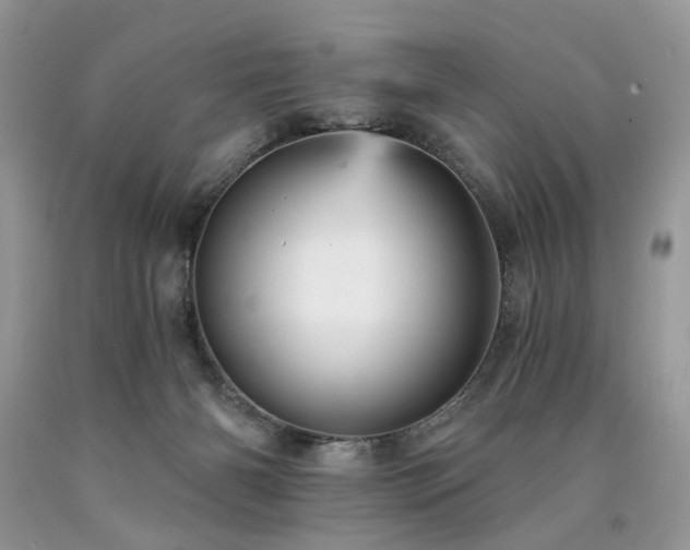 X0000090780126200707201531