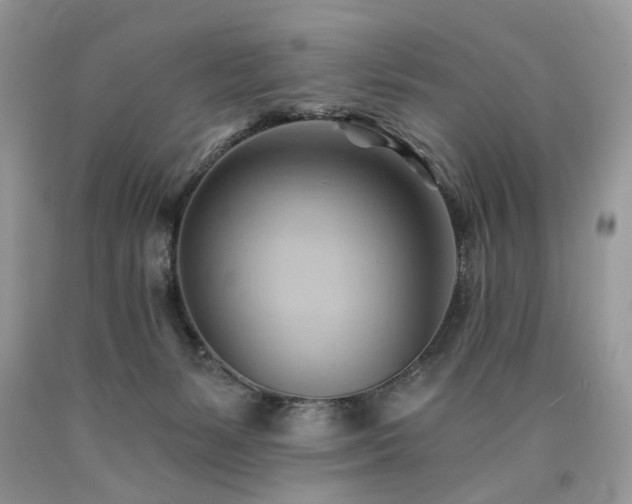 X0000090780127200707201531