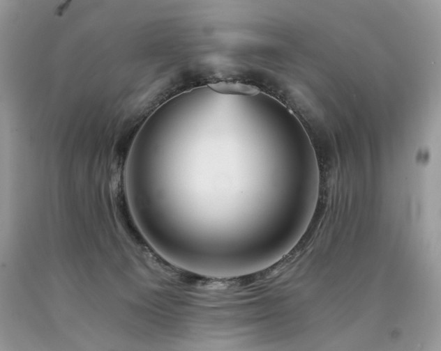 X0000090780129200707201531
