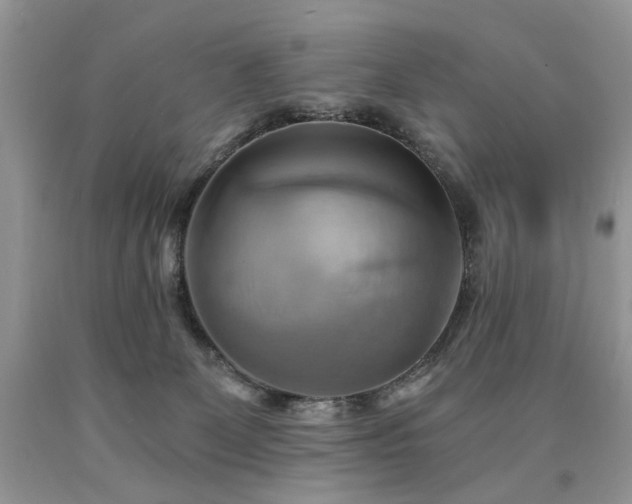X0000090780131200707201531