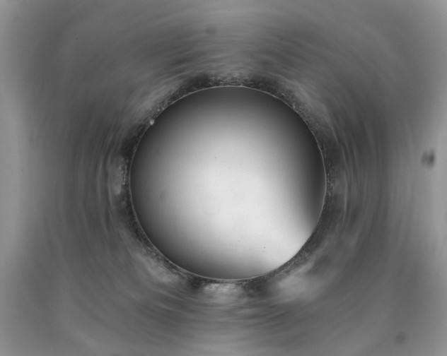 X0000090780133200707201531