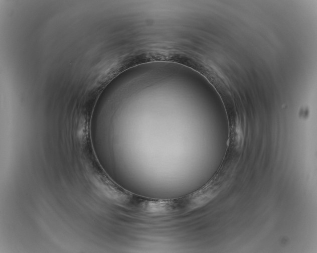 X0000090780134200707201531