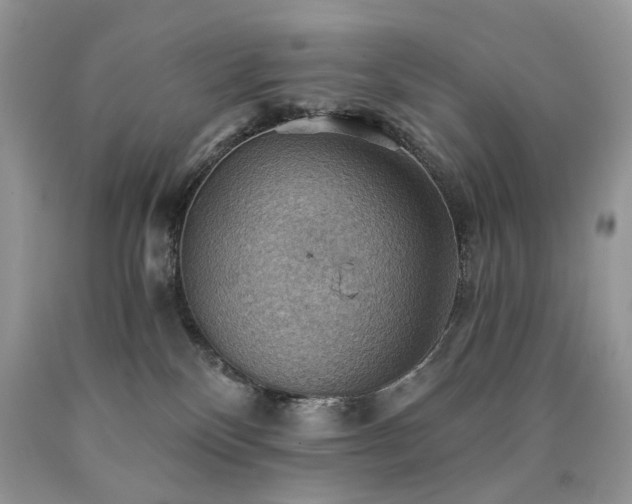 X0000090780136200707201531