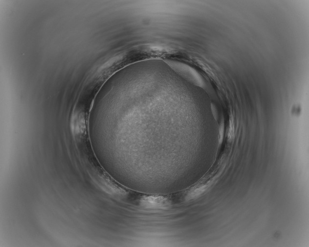 X0000090780137200707201531