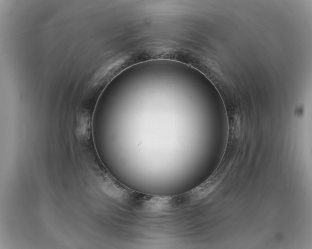 X0000090780138200707201531