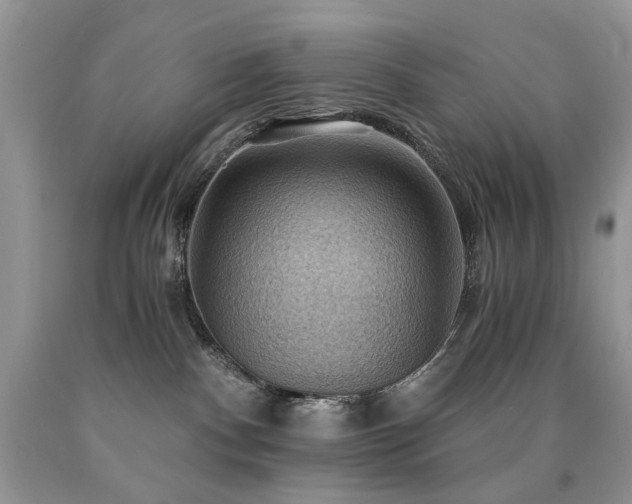 X0000090780140200707201531