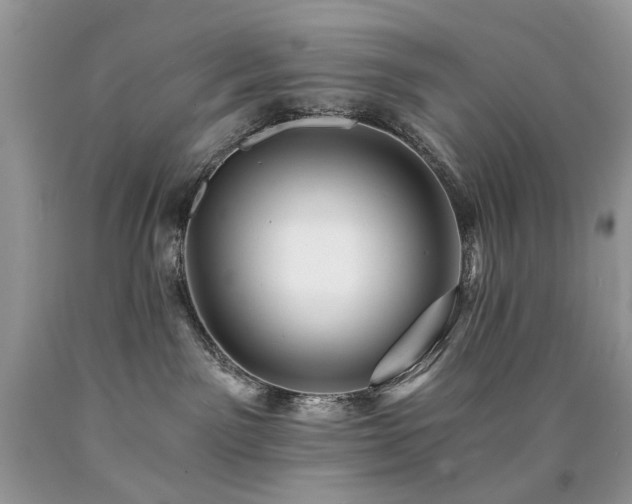 X0000090780141200707201531