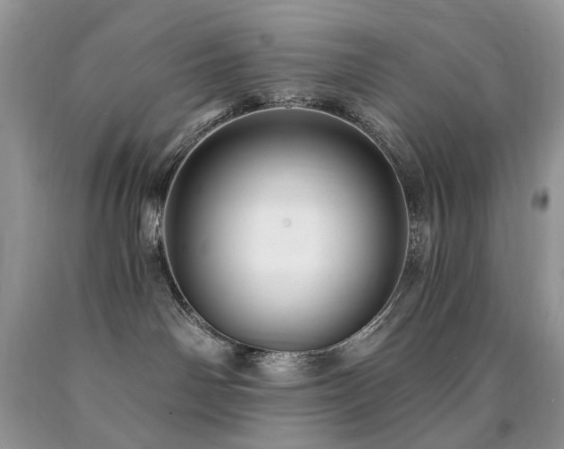 X0000090780142200707201531