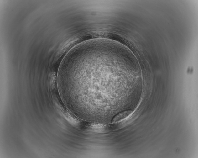 X0000090780144200707201531