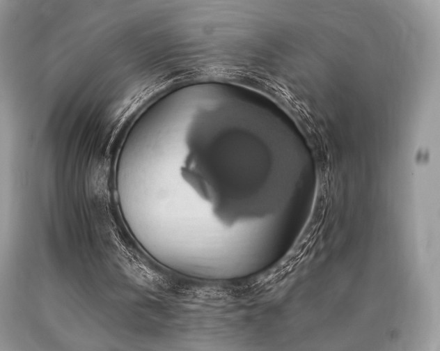 X0000090780146200707201531