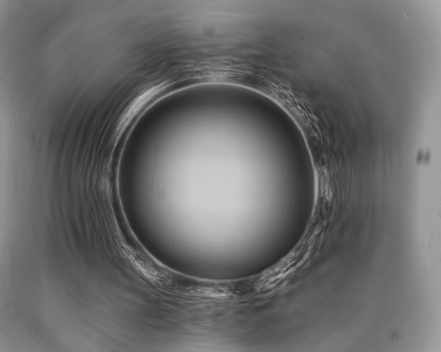 X0000090780147200707201531