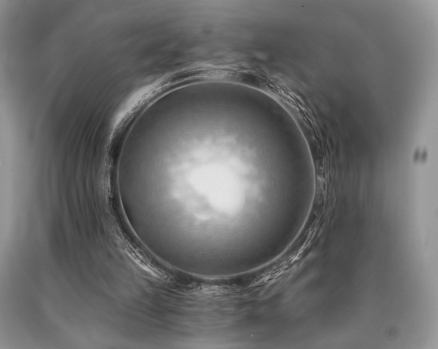X0000090780149200707201531