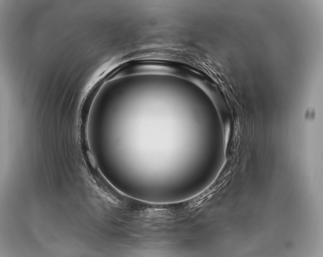 X0000090780150200707201531
