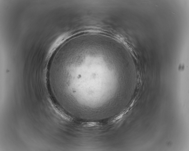 X0000090780151200707201531