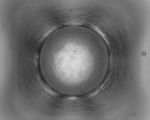 X0000090780153200707201531