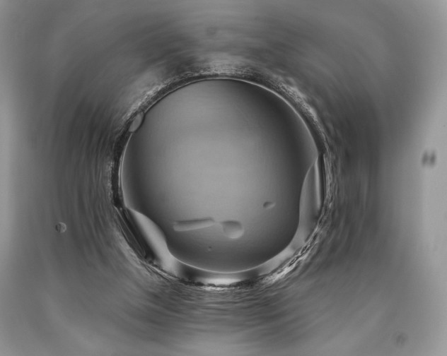 X0000090780154200707201531