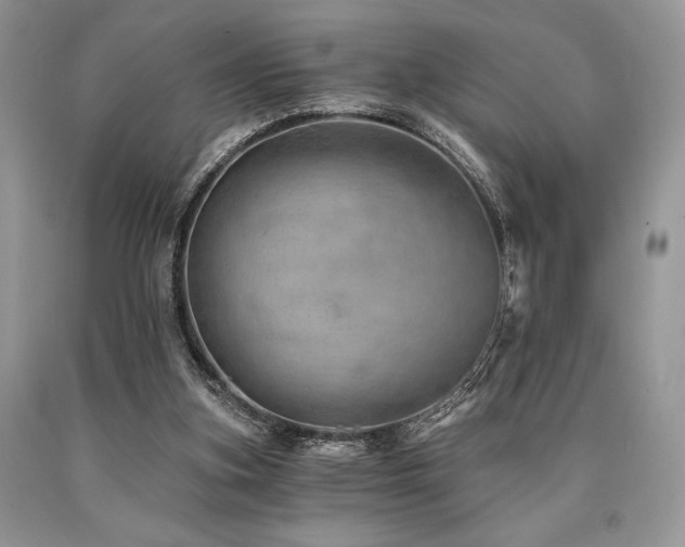 X0000090780155200707201531
