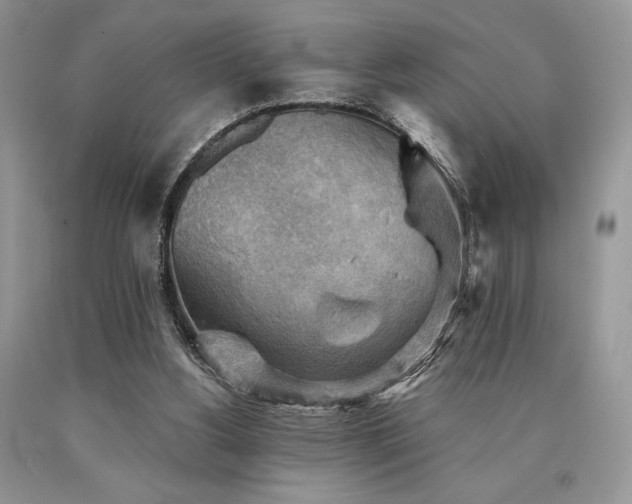 X0000090780156200707201531