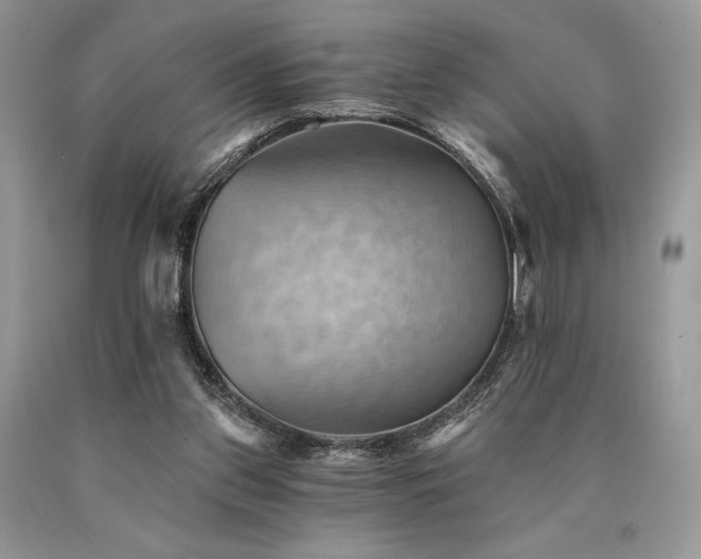 X0000090780157200707201531