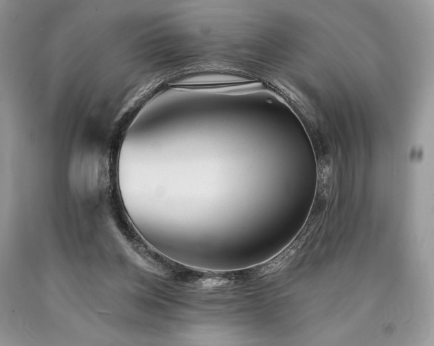 X0000090780158200707201531