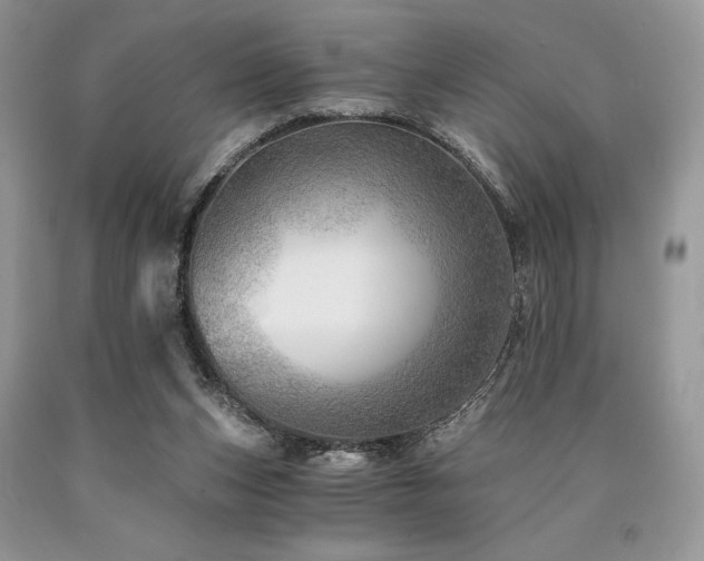 X0000090780159200707201531