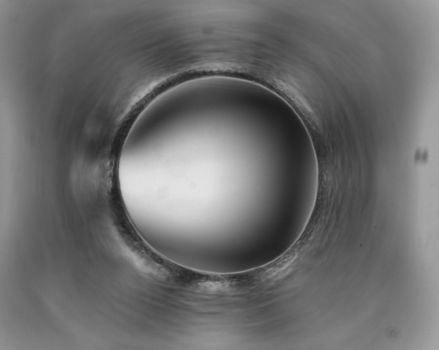 X0000090780160200707201531