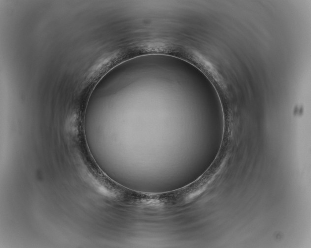 X0000090780161200707201531