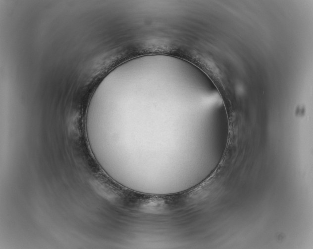 X0000090780162200707201531