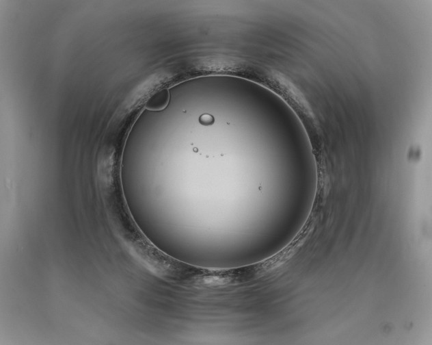 X0000090780163200707201531