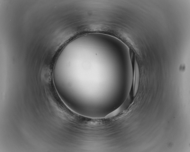 X0000090780164200707201531