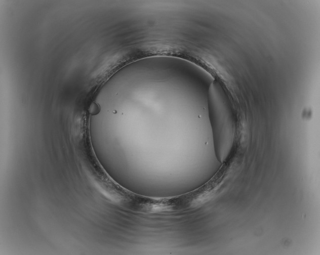 X0000090780165200707201531