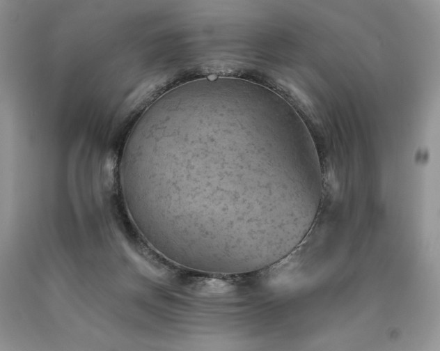 X0000090780166200707201531