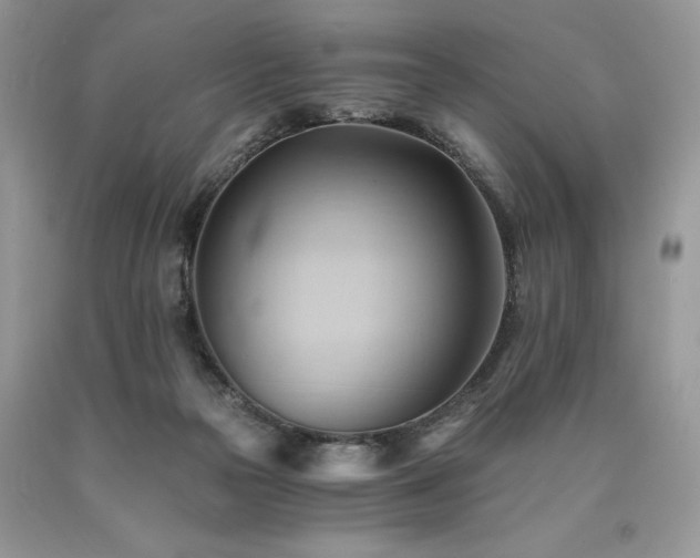 X0000090780169200707201531