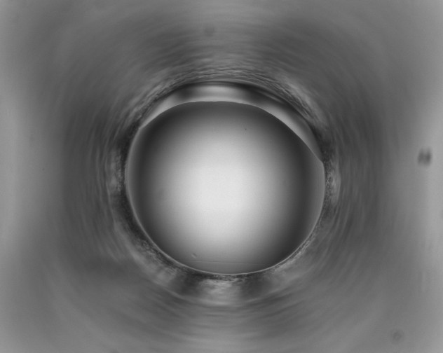 X0000090780170200707201531