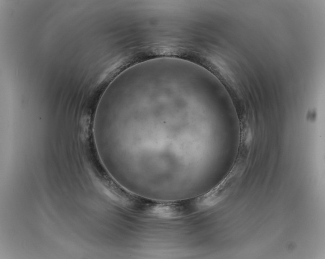 X0000090780171200707201531