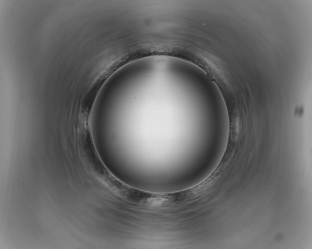 X0000090780172200707201531