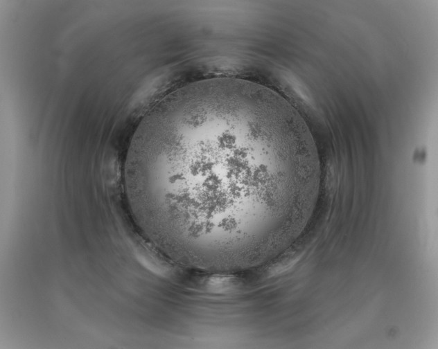 X0000090780173200707201531