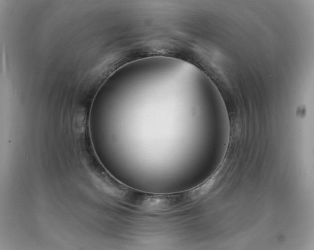 X0000090780174200707201531