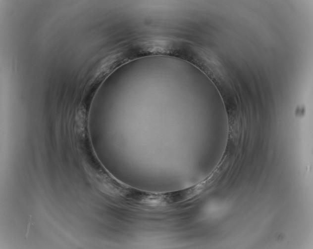 X0000090780175200707201531
