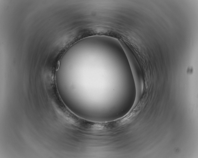X0000090780176200707201531